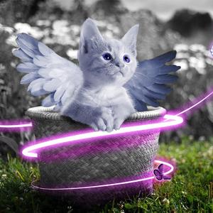 中国人肛交大片
